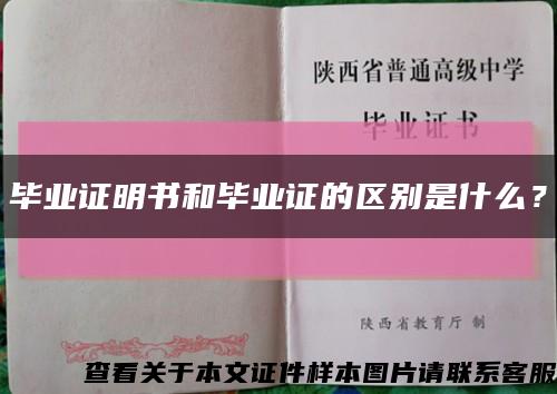 毕业证明书和毕业证的区别是什么？缩略图