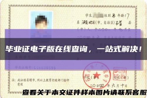 毕业证电子版在线查询，一站式解决！缩略图