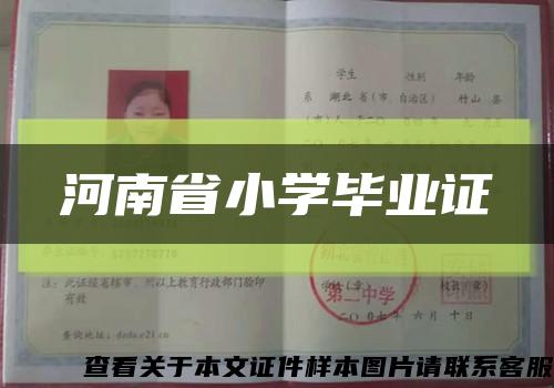 河南省小学毕业证缩略图