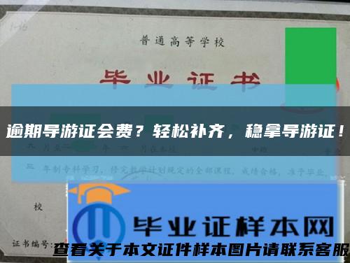 逾期导游证会费？轻松补齐，稳拿导游证！缩略图