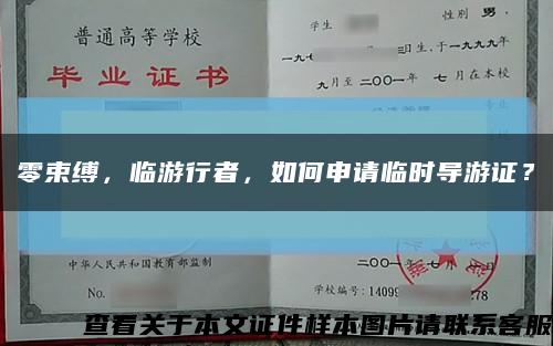 零束缚，临游行者，如何申请临时导游证？缩略图