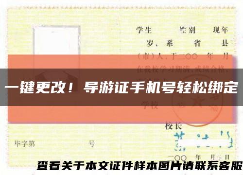 一键更改！导游证手机号轻松绑定缩略图