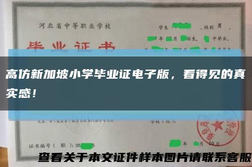 高仿新加坡小学毕业证电子版，看得见的真实感！缩略图