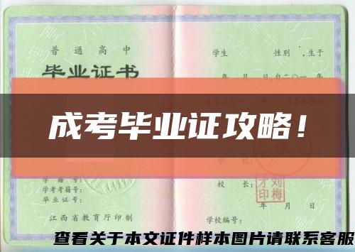 成考毕业证攻略！缩略图