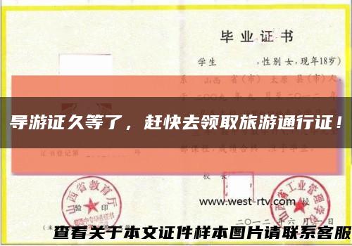 导游证久等了，赶快去领取旅游通行证！缩略图