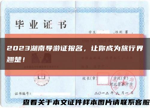 2023湖南导游证报名，让你成为旅行界翘楚！缩略图