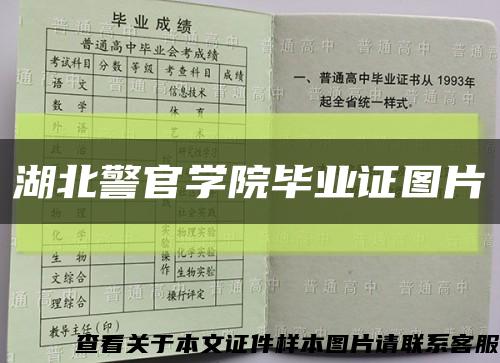 湖北警官学院毕业证图片缩略图