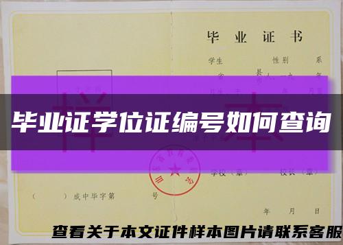 毕业证学位证编号如何查询缩略图