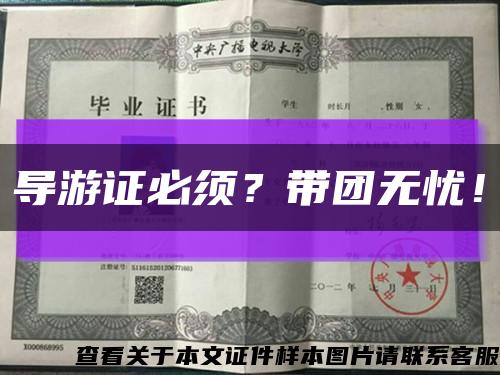 导游证必须？带团无忧！缩略图