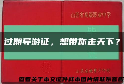 过期导游证，想带你走天下？缩略图