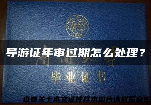 导游证年审过期怎么处理？缩略图