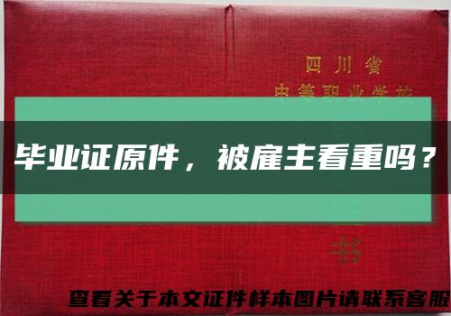 毕业证原件，被雇主看重吗？缩略图