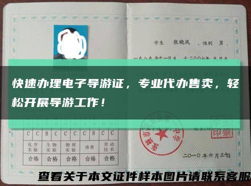 快速办理电子导游证，专业代办售卖，轻松开展导游工作！缩略图
