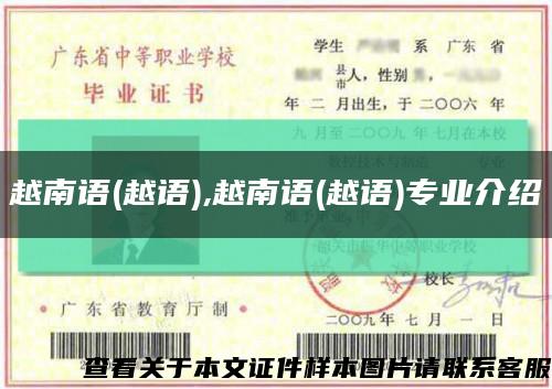 越南语(越语),越南语(越语)专业介绍缩略图