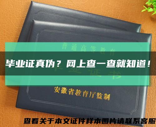 毕业证真伪？网上查一查就知道！缩略图