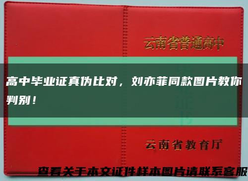 高中毕业证真伪比对，刘亦菲同款图片教你判别！缩略图
