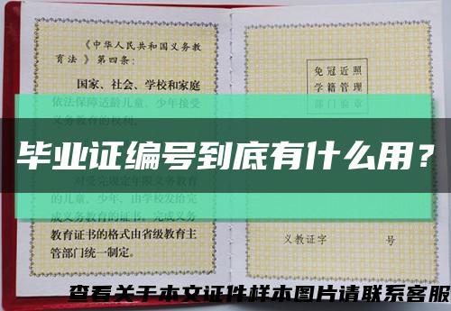 毕业证编号到底有什么用？缩略图