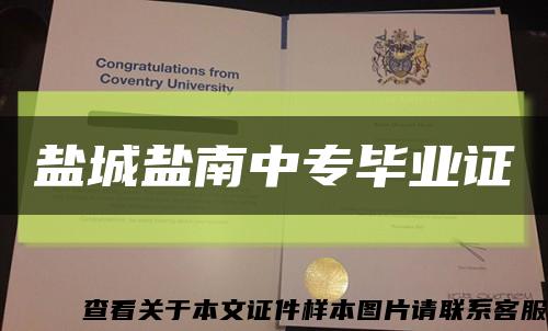 盐城盐南中专毕业证缩略图