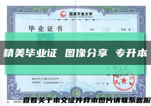 精美毕业证 图像分享 专升本缩略图