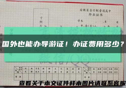 国外也能办导游证！办证费用多少？缩略图