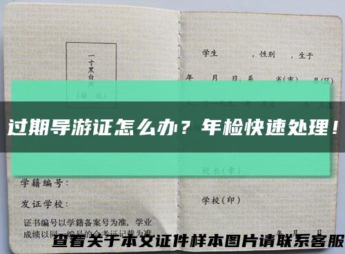 过期导游证怎么办？年检快速处理！缩略图
