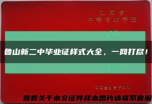 鲁山新二中毕业证样式大全，一网打尽！缩略图