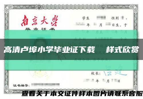 高清卢埠小学毕业证下载  样式欣赏缩略图