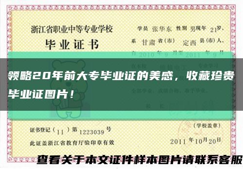领略20年前大专毕业证的美感，收藏珍贵毕业证图片！缩略图