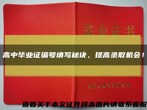 高中毕业证编号填写秘诀，提高录取机会！缩略图