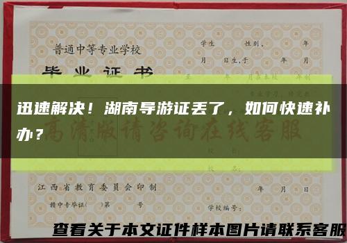 迅速解决！湖南导游证丢了，如何快速补办？缩略图