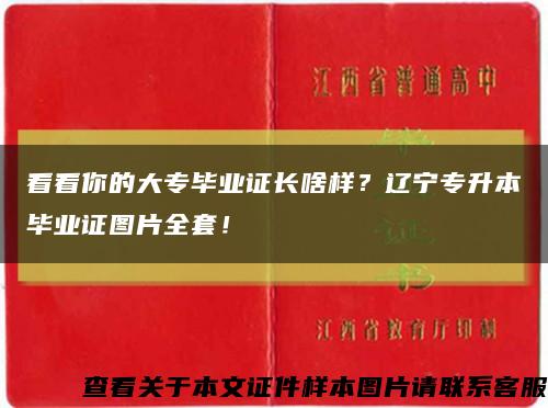 看看你的大专毕业证长啥样？辽宁专升本毕业证图片全套！缩略图