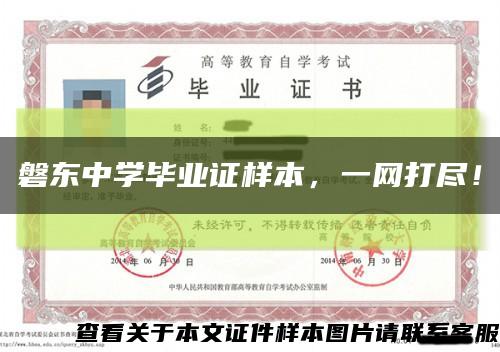 磐东中学毕业证样本，一网打尽！缩略图