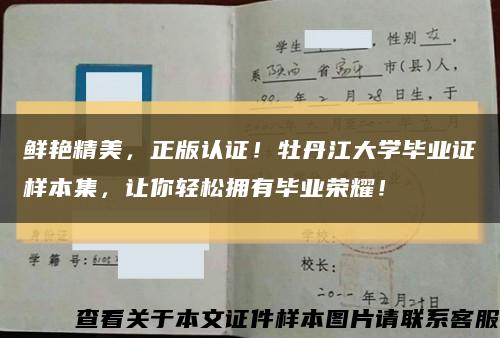 鲜艳精美，正版认证！牡丹江大学毕业证样本集，让你轻松拥有毕业荣耀！缩略图