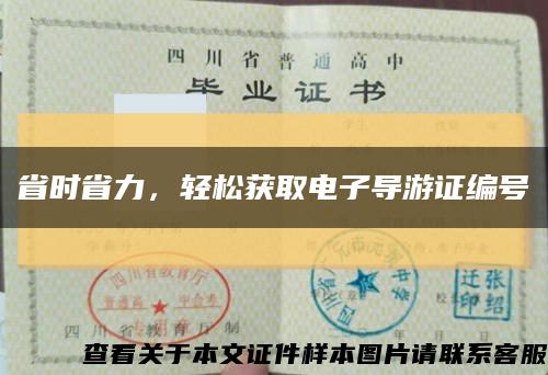 省时省力，轻松获取电子导游证编号缩略图