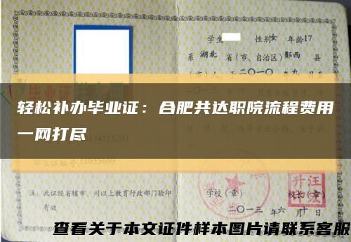 轻松补办毕业证：合肥共达职院流程费用一网打尽缩略图