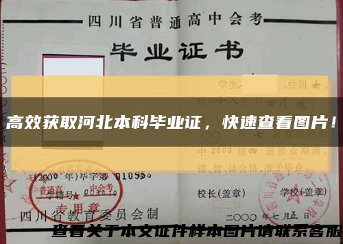 高效获取河北本科毕业证，快速查看图片！缩略图