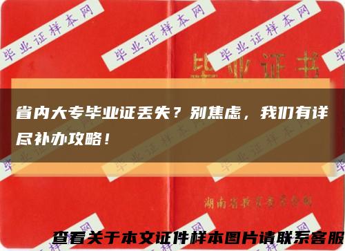 省内大专毕业证丢失？别焦虑，我们有详尽补办攻略！缩略图