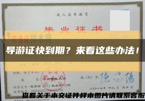 导游证快到期？来看这些办法！缩略图