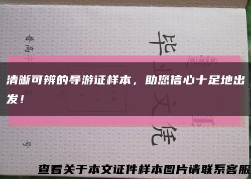 清晰可辨的导游证样本，助您信心十足地出发！缩略图