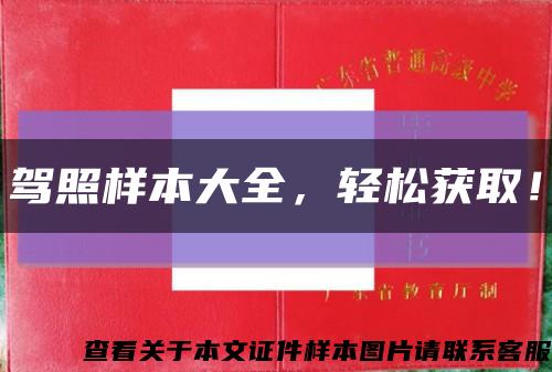 驾照样本大全，轻松获取！缩略图