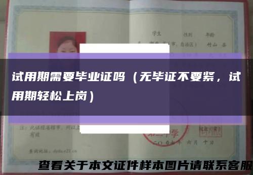 试用期需要毕业证吗（无毕证不要紧，试用期轻松上岗）缩略图