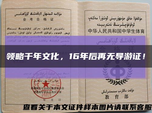 领略千年文化，16年后再无导游证！缩略图