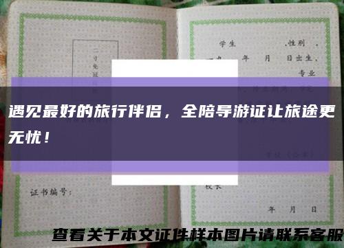 遇见最好的旅行伴侣，全陪导游证让旅途更无忧！缩略图