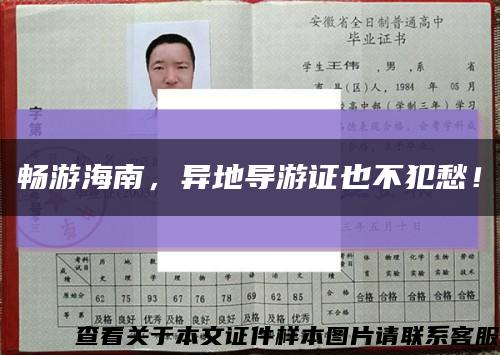 畅游海南，异地导游证也不犯愁！缩略图