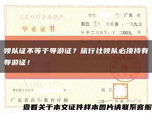领队证不等于导游证？旅行社领队必须持有导游证！缩略图