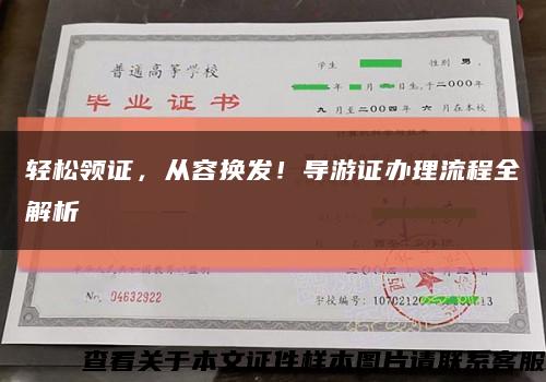 轻松领证，从容换发！导游证办理流程全解析缩略图