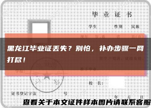 黑龙江毕业证丢失？别怕，补办步骤一网打尽！缩略图