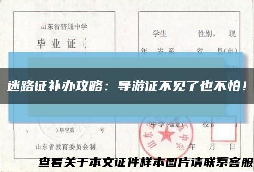 迷路证补办攻略：导游证不见了也不怕！缩略图