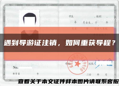 遇到导游证注销，如何重获导程？缩略图