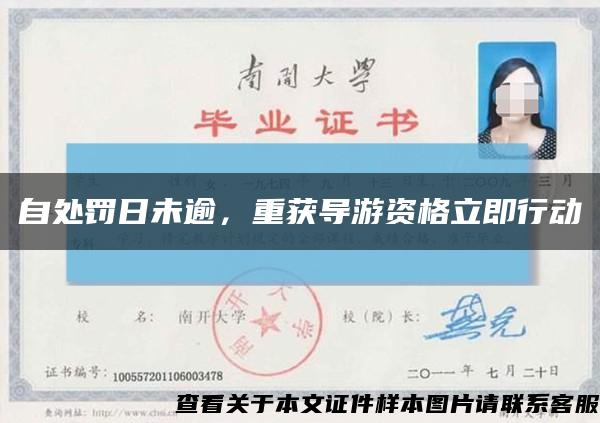 自处罚日未逾，重获导游资格立即行动缩略图